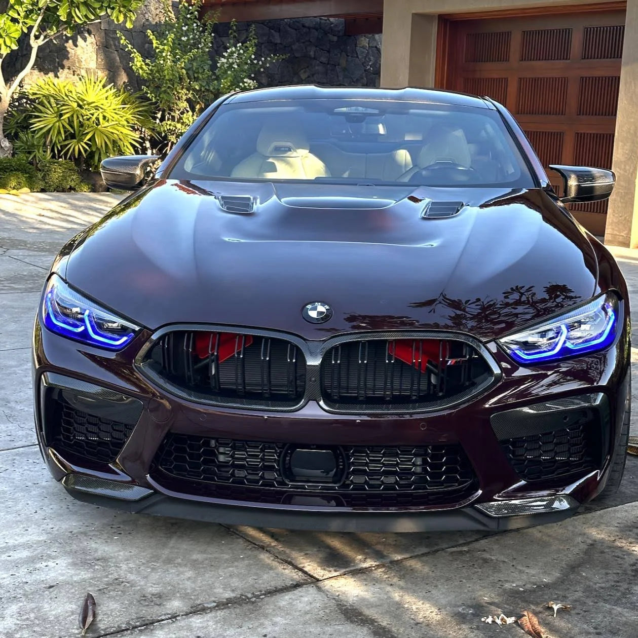 BMW 8 series  Single Color DRL and RGBW Color Change Kit Starting @